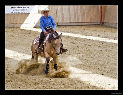 Hest1.jpg