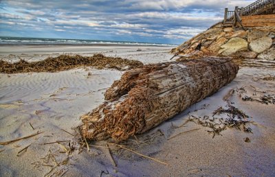 cape_cod_part_ii