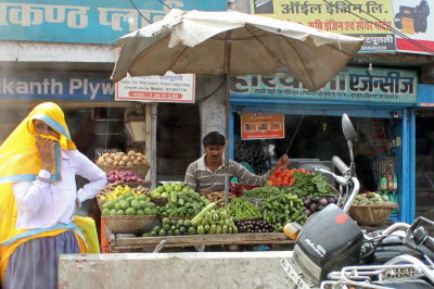 Roadside Glimpses, Delhi to Jaipur