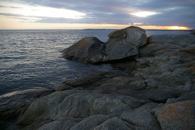 IMGP2203.jpg