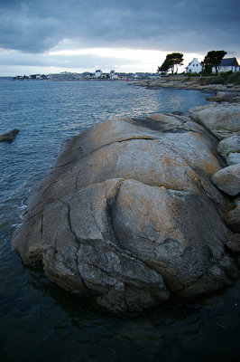 IMGP2211.jpg