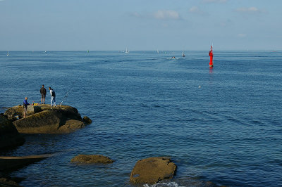 IMGP2245.jpg