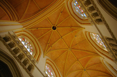 IMGP2249.jpg