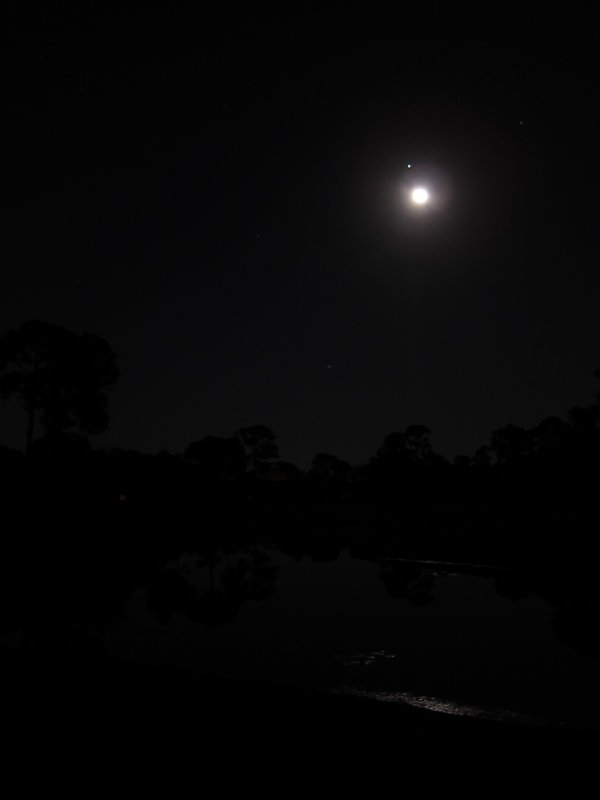 IMG_7914.JPG
