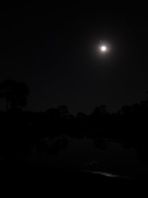 IMG_7914.JPG