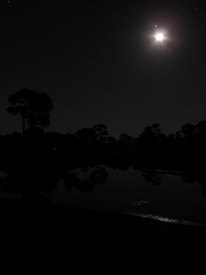 IMG_7926.JPG