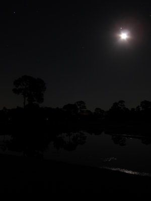 IMG_7930.JPG