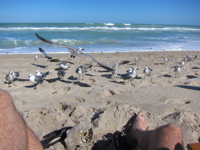 IMG_7890.JPG