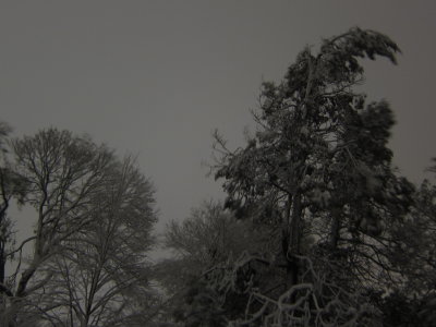 IMG_8174.JPG