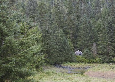 cabin.jpg