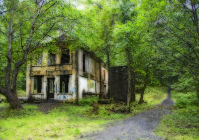 OldMine Orton.jpg