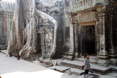 Day-6-Ta-Prohm-3.jpg