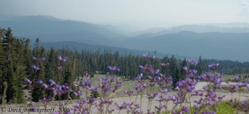 Looking Out from Mt. Shasta Ski Bowl Parking