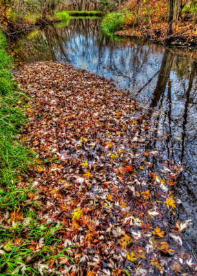 Vermillion River Trout Stream