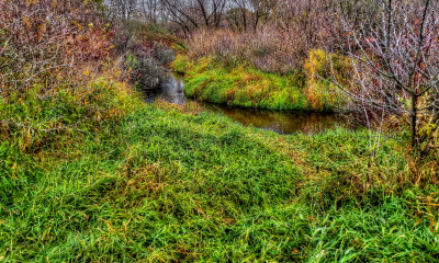 Vermillion River Trout Stream