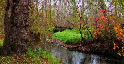 Vermillion River Trout Stream