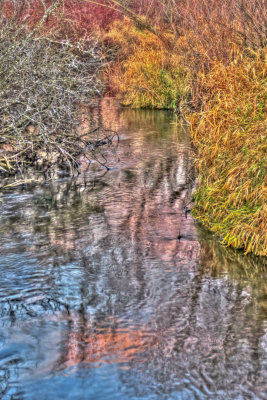 Vermillion River Trout Stream