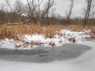 Minnesota River Valley National Wildlife Refuge