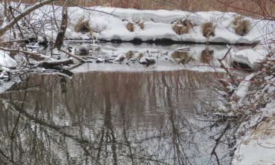Vermillion River Trout Stream
