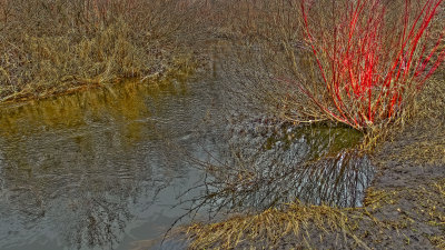 Vermillion River Trout Stream