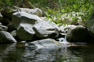 Cold Springs Creek