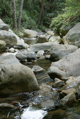 Cold Springs Creek