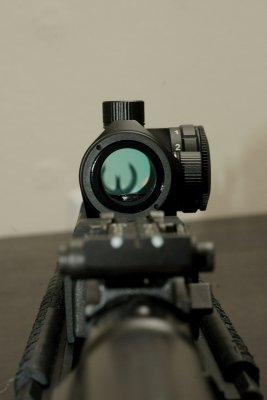 RDS6.JPG
