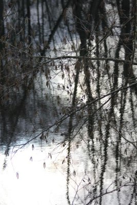 Cavanaugh Pond in Winter