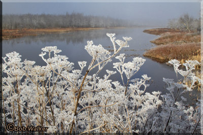 Morning Frost At A Different Time And Different Perspective