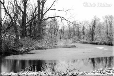 A Meandering Stream In The Montezuma National Wildlife Refuge & Wetland Complex