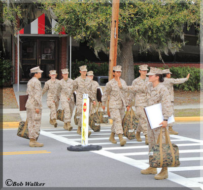 The Standard Procedure For Marine Recruits Crossing A Road 
