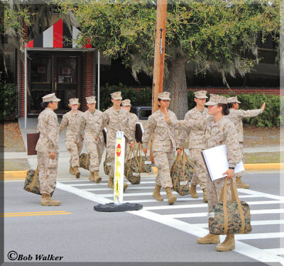 The Standard Procedure For Marine Recruits Crossing A Road