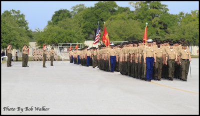 The Troops Pass In Review