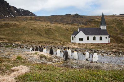 Grytviken Whaling Station-53.jpg