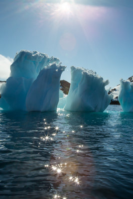 Robert Island Icebergs-19.jpg