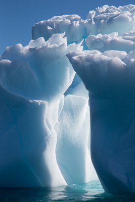 Robert Island Icebergs-20.jpg