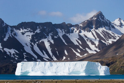 South Georgia Icebergs-16.jpg