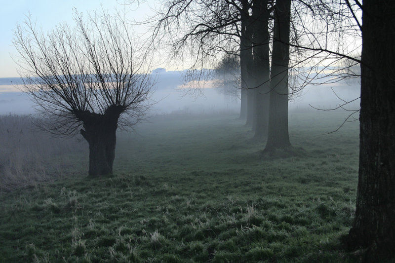 Zaamslag (Groeneweg)