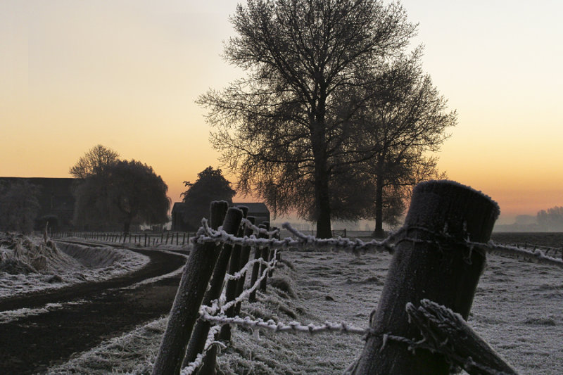 Frosty weather (Zaamslag)