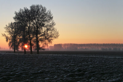 four in winter