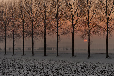 winter