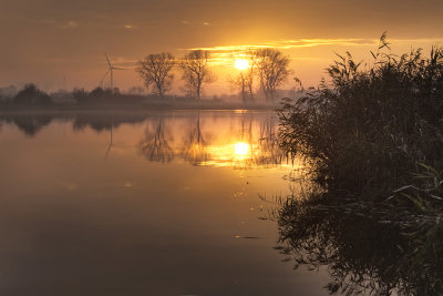 reflections (Zaamslag- Groeneweg)