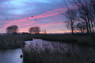 Zaamslag (Groeneweg)