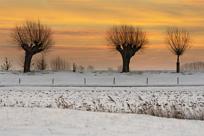In winter (Steenovens/Zaamslag)