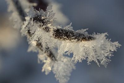 ice crystals