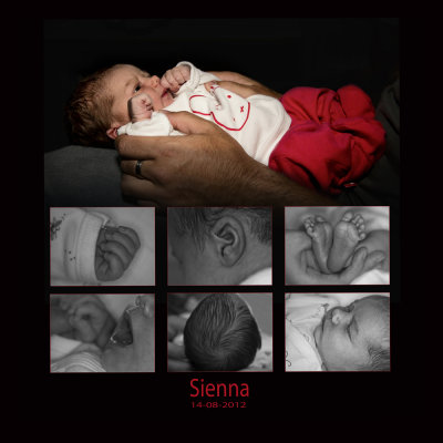 2012.08.14.Sienna (just born)