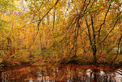 IMG_6804.jpg