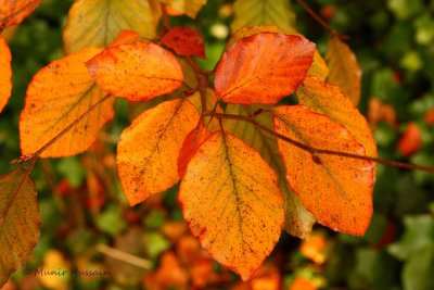 IMG_6849.jpg