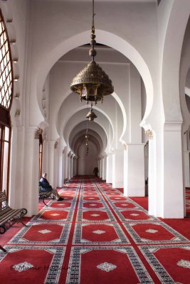 Marrakesh 44.jpg