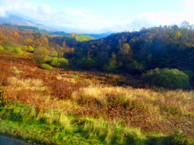 The Trossachs - Stirlingshire